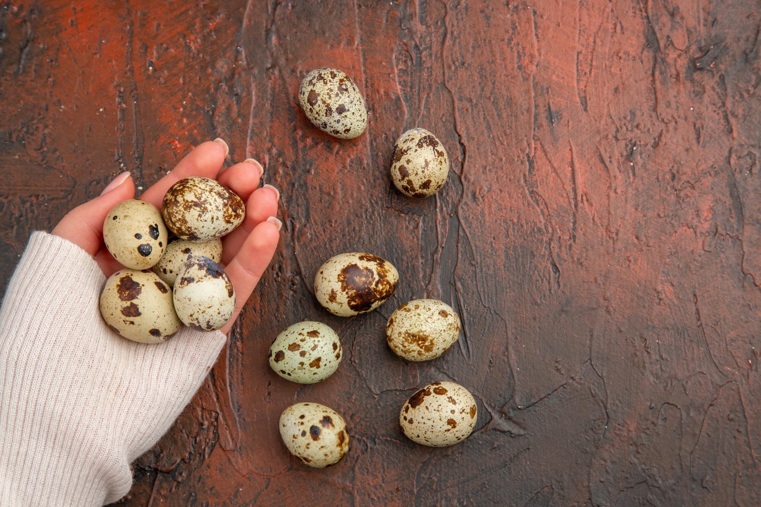 hand holding several speckled quail eggs above a rustic dark red-brown textured surface